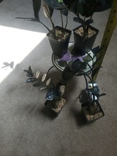 Live plant stems for sale  Philadelphia