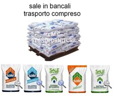 Bancali sale per usato  Cisterna di Latina