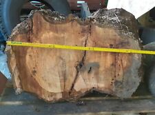 Drechselholz stamm kirschholz gebraucht kaufen  Harsefeld