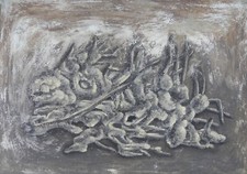 Piero bolla fossili usato  Casteggio