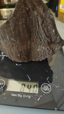 Glitzerholz versteinertes holz gebraucht kaufen  Frankfurt am Main