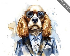 Cocker spaniel abito usato  Spedire a Italy