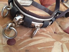 Kappzaum cob braun gebraucht kaufen Kappzaum cob braun gebraucht kaufen  Gerbstedt