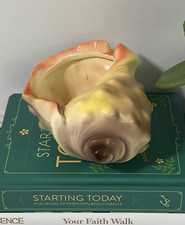 Vintage ceramic conch for sale  Clearwater