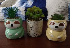 Planters faux succulents for sale  Buffalo