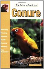 Guide owning conure for sale  UK