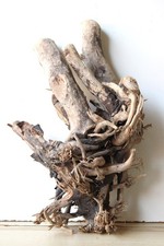 Treibholz schwemmholz driftwoo gebraucht kaufen  Halblech