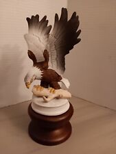 American bald eagle for sale  Augusta