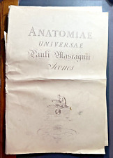 Anatomia universale. paolo usato  Roma