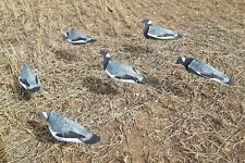 Pigeon decoys set for sale  LEICESTER