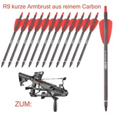 Zoll armbrustpfeile bolzen gebraucht kaufen  Langenlonsheim