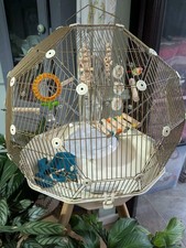 Omlet geo bird for sale  MILTON KEYNES