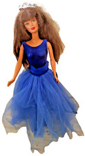 Barbie princesse velours d'occasion  Toulouse-