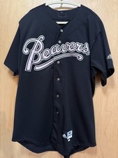 Portland oregon beavers for sale  Hillsboro