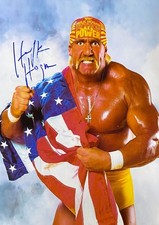 Hulk hogan wrestler for sale  TIPTON
