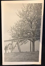 Vintage postcard real for sale  New York