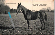 18234 pau haras d'occasion 18234 pau haras d'occasion  Toul