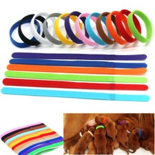 Newborn whelping bands for sale  LOUGHBOROUGH