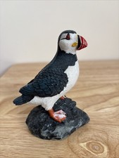 puffin for sale puffin for sale NORWICH
