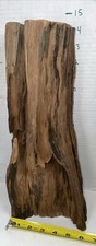 Driftwood terrarium beach for sale  Brookwood