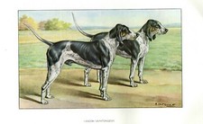 Antique print hunting d'occasion  Expédié en Belgium