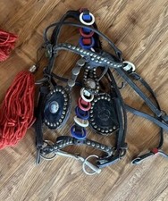 Pony carriage bridle for sale  Red Lodge