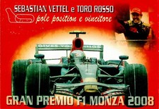 Sebastian vettel toro usato  Biassono