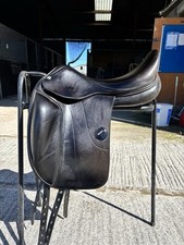 Amerigo vega dressage for sale  AXBRIDGE