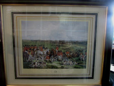 Meeting majestry stag for sale  Scranton