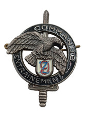 2025 insigne militaire d'occasion  Saint-Jean-en-Royans