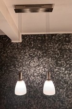 Pendelleuchte deckenlampe fisc gebraucht kaufen  Hamburg