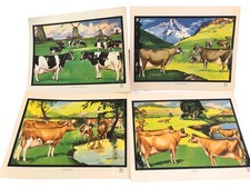 1950s california dairy for sale  Dalton