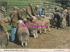 Animals postcard sheep for sale  WATERLOOVILLE