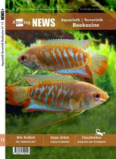 News bookazine . gebraucht kaufen  Berlin