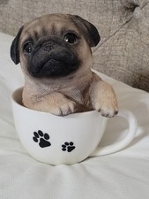 cute males pugs for sale cute males pugs for sale Milliken