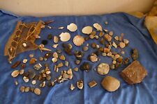 Steine mineralien fossilien gebraucht kaufen  Leipzig