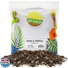 Tropical house plant for sale  San Jose