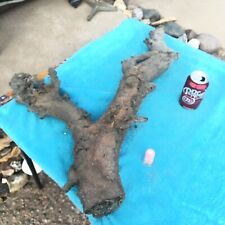 Museum quality fulgurite for sale  Mesa