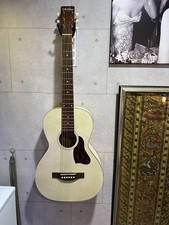 Acoustic guitar art d'occasion  Expédié en Belgium