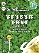 Griechischer regano mehrjähri gebraucht kaufen  Kamenz