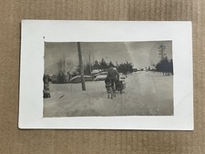 Postcard rppc dog for sale  Clarendon Hills