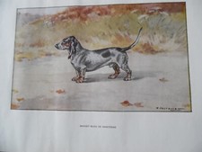 Gravures chien chasse d'occasion  Combs-la-Ville