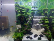 Cachoeira Aquascape tamanho 35x30x30 cm paisagem dura penhasco e bonsai grama sintética, usado comprar usado  Enviando para Brazil
