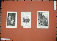 Old antique print for sale  UK