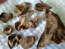 Borneo red soil for sale  USA