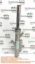 Stelo fodero canna usato  Riesi