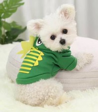 Green dinosaur dog for sale  Stuart