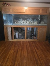 Aquarium 300 gallon for sale  Lakewood