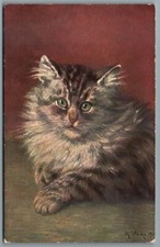 Printed postcard tabby for sale  CORSHAM