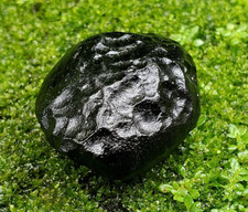 Indonesia natural tektite d'occasion  Expédié en Belgium